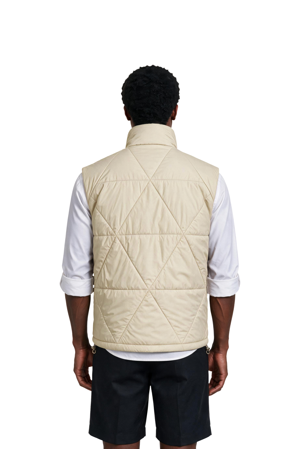 Alvier Brown-Beige BEIG Model Back